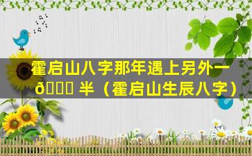 霍启山八字那年遇上另外一 🐒 半（霍启山生辰八字）